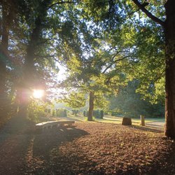 Parc de Brequigny