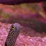 Photo of High Tide Aquatics