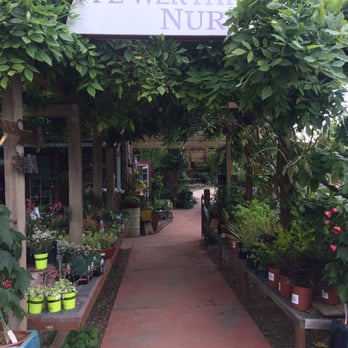 Flower Farm Cafe - Nursery - Coffee & Tea Near Me - Loomis, California Flower Farm Cafe - Nursery - Coffee & Tea Near Me - Loomis, California