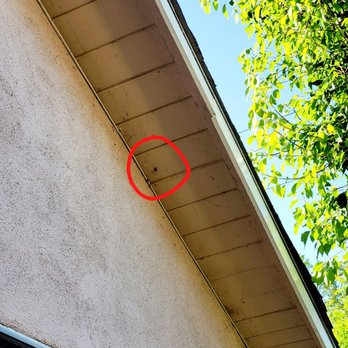 Prolific Pest Control - Jesse mentioned this "wasp nest" was a screw when he checked it out, whew! Though, the wasps do like anchoring their nests on there. - Pest Control Near Me - Pasadena, California Prolific Pest Control - Jesse mentioned this "wasp nest" was a screw when he checked it out, whew! Though, the wasps do like anchoring their nests on there. - Pest Control Near Me - Pasadena, California