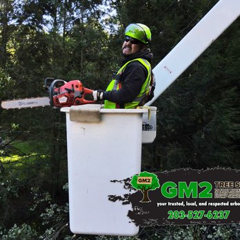 GM 2 Tree Service - Tree Services Near Me - Bristol, Connecticut GM 2 Tree Service - Tree Services Near Me - Bristol, Connecticut