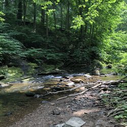 Rolling Hill Park