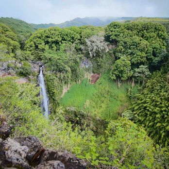 Pipiwai Trail - Makahiku Falls about 15/20 minutes into the hike - Hiking Near Me - Hana,, Hawaii