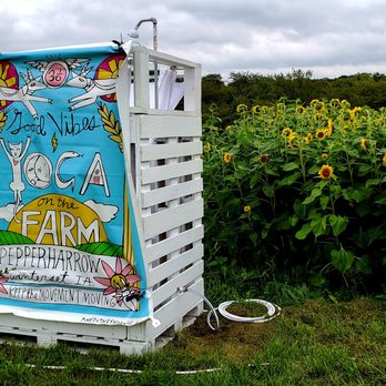 PepperHarrow Farm - Sunflowers - Floral Designers Near Me - Winterset, Iowa