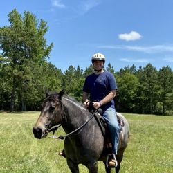 Angus Valley Stables