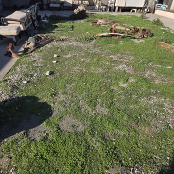 Gorilla Turf & Hardscape - This is the before photo. - Artificial Turf Near Me - San Diego, California Gorilla Turf & Hardscape - This is the before photo. - Artificial Turf Near Me - San Diego, California