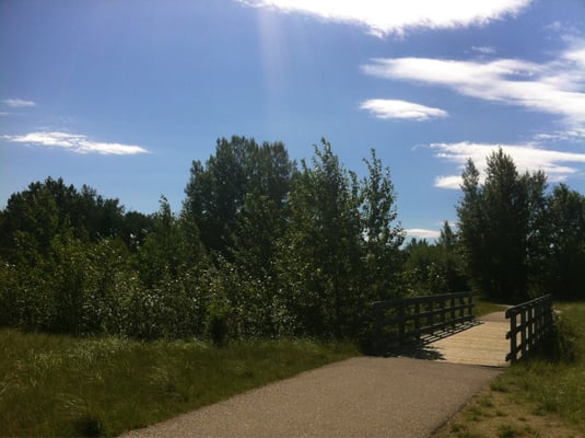 Inglewood Bird Sanctuary by null