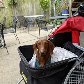 M henry - Dog friendly outdoor space - Breakfast & Brunch Near Me - Chicago, Illinois