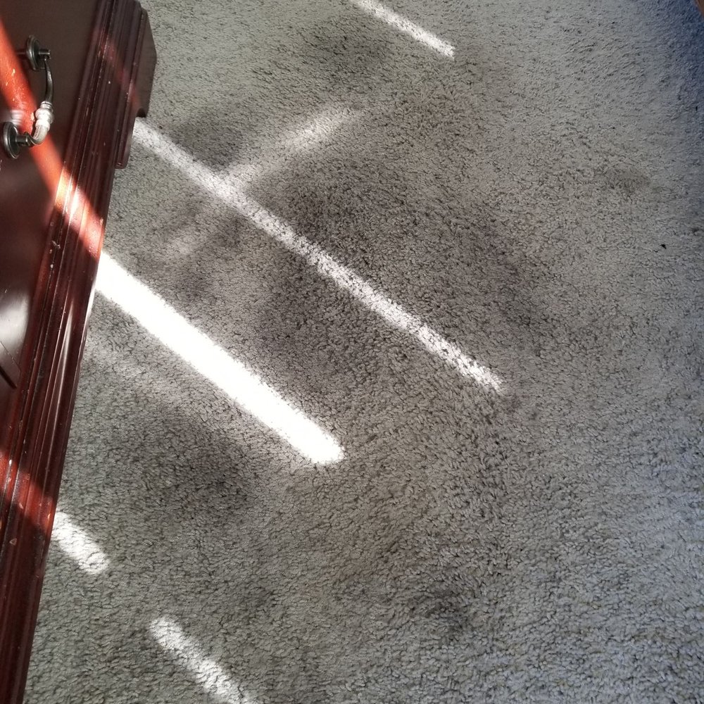 Before and after of my carpet.  Great job!