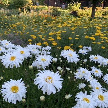 Mirabeau Meadows Park - Parks Near Me - Spokane Valley, Washington Mirabeau Meadows Park - Parks Near Me - Spokane Valley, Washington