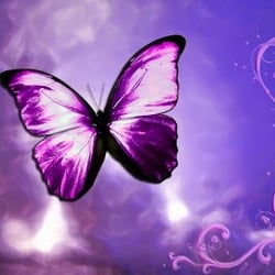 Anew Counseling - A New You