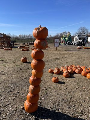Outhouse Orchards by null