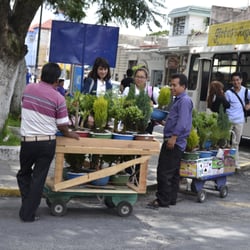 Jardín Federico Escobedo