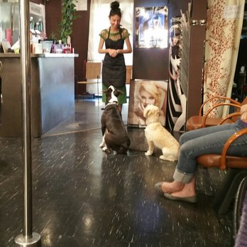 Salon Paul Florent - Connie with George & Chuck! - Hair Salons Near Me - Hudson, New York Salon Paul Florent - Connie with George & Chuck! - Hair Salons Near Me - Hudson, New York