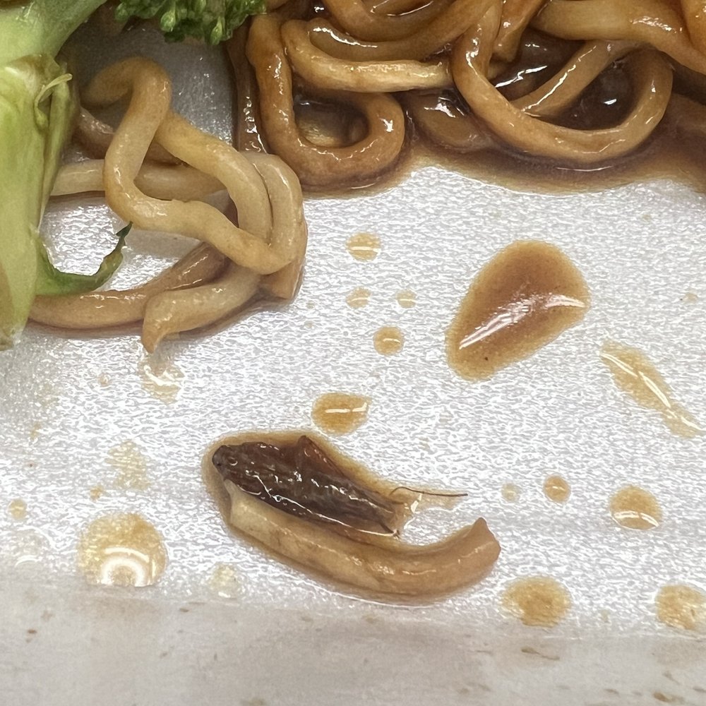 A roach well marinated