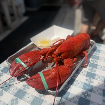 Roy Moore Lobster - 3lbs lobster - Seafood Near Me - Rockport, Massachusetts