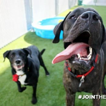 Muttley Crue Organics - Pet Groomers Near Me - Calgary, Alberta Muttley Crue Organics - Pet Groomers Near Me - Calgary, Alberta