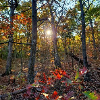 Buzzard Rock North Trail - Trail - Hiking Near Me - Front Royal, Virginia