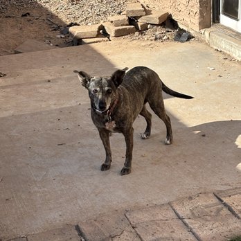 Poo Happens - Pet Waste Removal Near Me Poo Happens - Pet Waste Removal Near Me