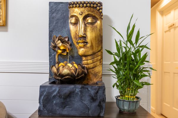 Chiselle Aesthetic & Wellness by null