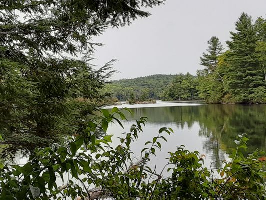 BURR POND STATE PARK - Updated July 2024 - 89 Photos - Burr Mountain Rd