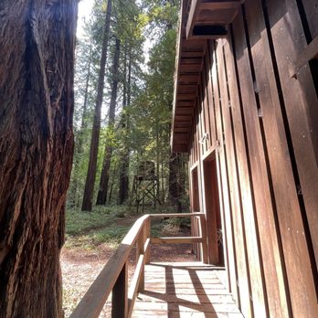 Van Duzen County Park - Ramp entrance to Camp Kitchen - Parks Near Me - Carlotta, California