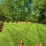 Photo of Santana Landscaping