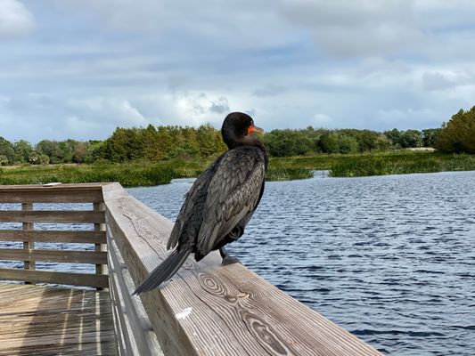 Green Cay Nature Center & Wetlands by null