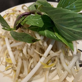 Kanata Noodle House - Kanata Noodle house rotten bean sprouts - Vietnamese Near Me - Ottawa, Ontario Kanata Noodle House - Kanata Noodle house rotten bean sprouts - Vietnamese Near Me - Ottawa, Ontario