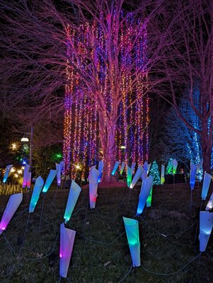 The North Carolina Arboretum by null