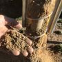 Photo of California Soil Testing