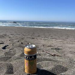 Bodega Bay Beach Home - It's a beautiful fall day