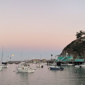 Bluewater Avalon - View from the patio - Seafood Near Me - Avalon, California