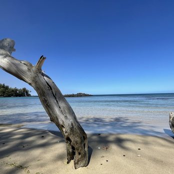 Waialea Beach - Beaches Near Me - Kamuela, Hawaii