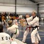 Photo of Amkor Karate Institute Bryn Mawr