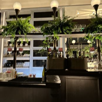 The Holbrook House - Indoor decor is a vibe - Cocktail Bars Near Me - San Francisco, California The Holbrook House - Indoor decor is a vibe - Cocktail Bars Near Me - San Francisco, California