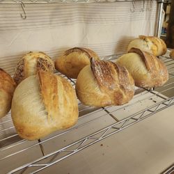 Our Daily Bread