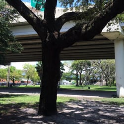 Kenwood Dog Park - Great use of space and preservation of trees!
