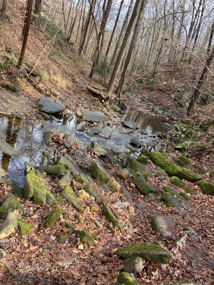 SOAPSTONE VALLEY PARK Updated June 2024 17 Photos 2900 Audubon