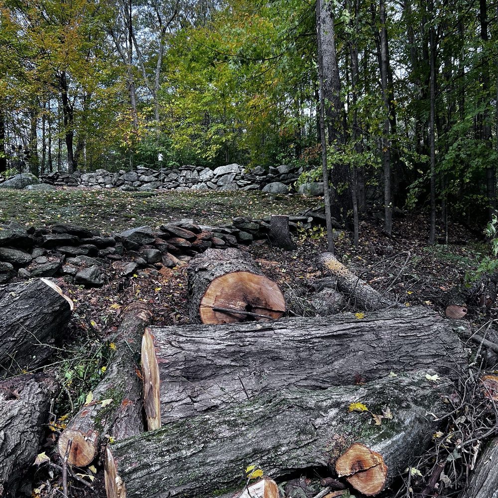 New England Tree Service - Tree Services Near Me