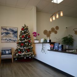 Demetrios Spine And Wellness Physical Therapy