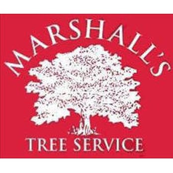 Marshall's Tree Service - Tree Services Near Me - Virginia Beach, Virginia
