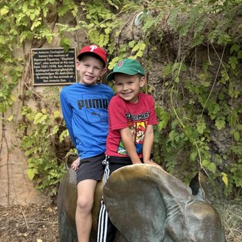 San Antonio Zoo - Lots of photo opportunities for kids and families - Zoos Near Me - San Antonio, Texas
