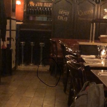 Café du Rendez-Vous - Mouse in establishment - Cafes Near Me - Paris, 75 Café du Rendez-Vous - Mouse in establishment - Cafes Near Me - Paris, 75
