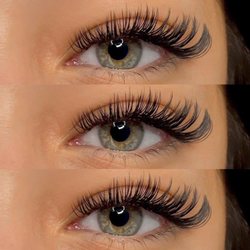 Lash Suite 734 in Tuscaloosa gift card