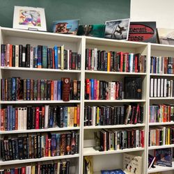 Literati Press Comics & Novels