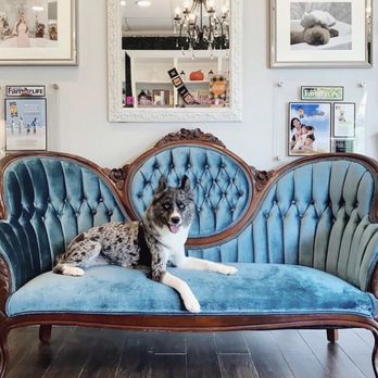 Barkers Lane - Pet Groomers Near Me - Davie, Florida