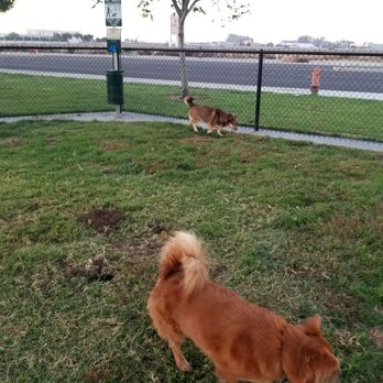 Turlock Dog Park - Dog Parks Near Me - Turlock, California Turlock Dog Park - Dog Parks Near Me - Turlock, California