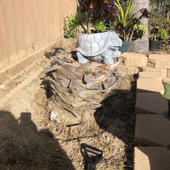 Pro Select Construction Services  - This one, wasn't so bad... o_o but I couldn't do it anymore because the OTHER palm tree stump, destroyed me. ToT - General Contractors Near Me - Escondido, California