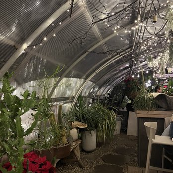 The Greenhouse Bar - Bar area - Bars Near Me - Nashville, Tennessee
